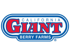 California Giant