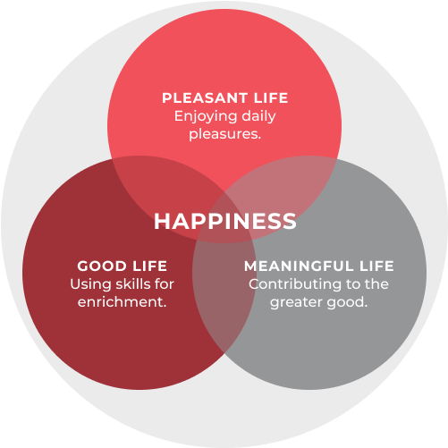 Happiness Venn Diagram